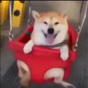 Meet your Posher, Jp